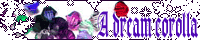 p΁[